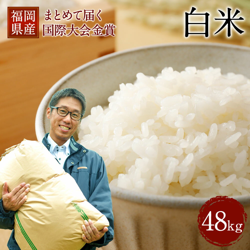【ふるさと納税】まとめて届く国際大会金賞「みやま米」 2kg×24袋 合計48kg お米 白米 精米 福岡県産 九州産 にこまる 大人数 家族 金賞 送料無料