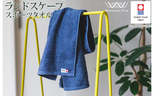 （今治タオルブランド認定）ランドスケープ スポーツタオル 1枚(ブルー)【IA05210B】今治タオル スポーツタオル