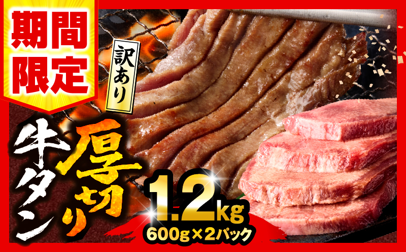 【数量・期間限定】《訳あり》厚切り 牛タン 塩味 計1.2kg (600g×2)  牛肉 肉 精肉 味付き タン タン塩 塩タン 不揃い 規格外 小分け パック 簡単調理 焼くだけ キャンプ 焼肉 厚切り牛タン グルメ お取り寄せ 宮崎県 宮崎市