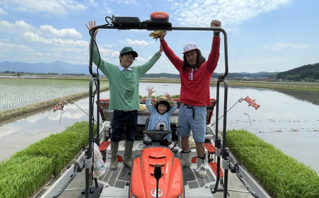 【先行予約】【令和7年産新米】コシヒカリ 精米 5kg 新潟県 |五泉市 コシヒカリ