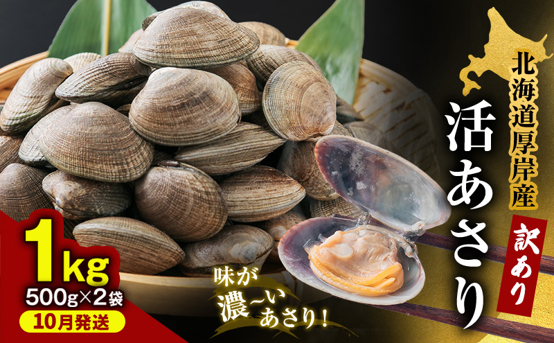 10月発送 北海道 厚岸産 訳あり 活あさり 500g×2 (合計1kg) アサリ 魚貝 海鮮 大粒 美味しい 栄養 旨み 砂出し 水洗い 冷蔵 冷凍保存可能 便利