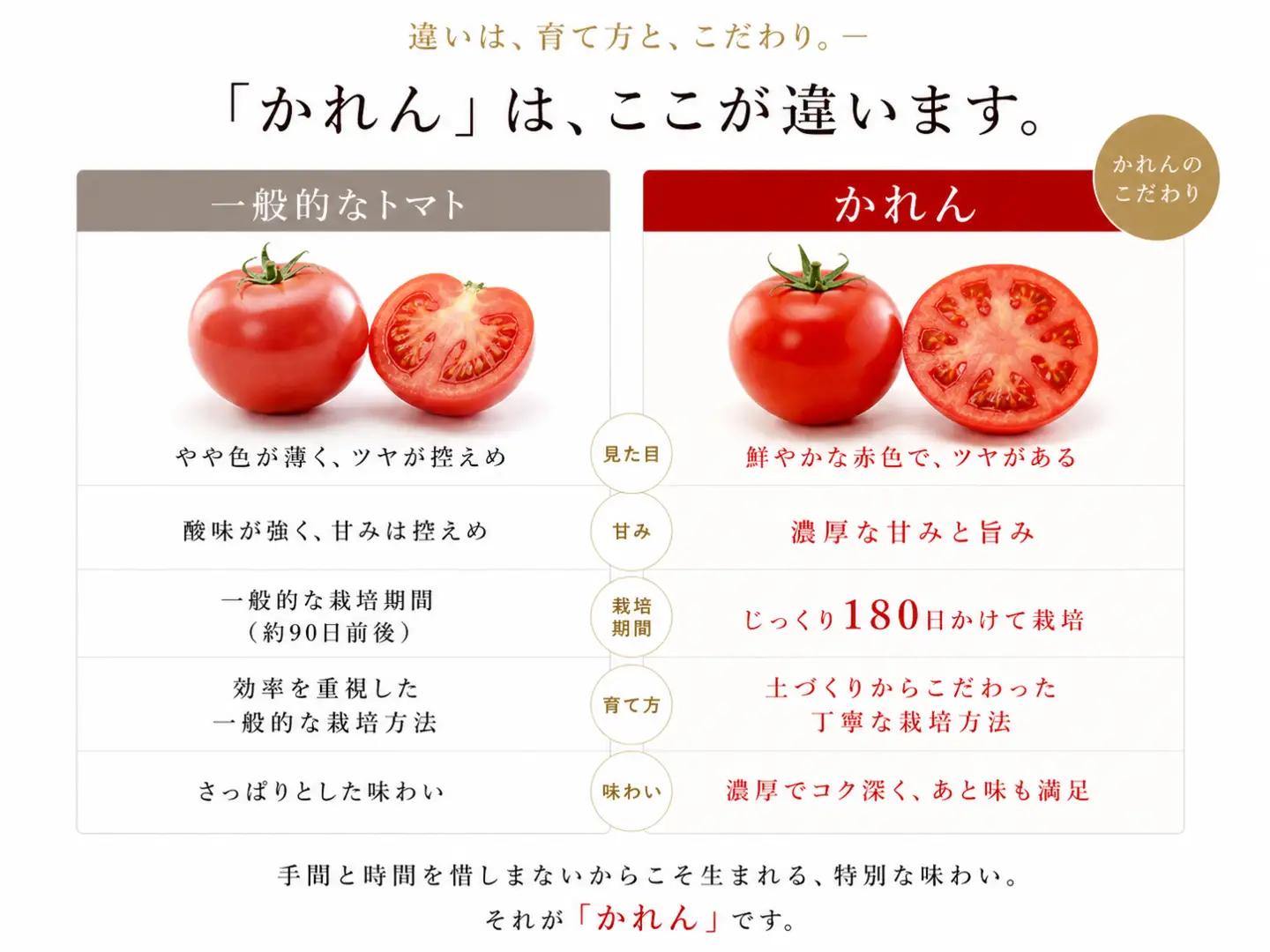 【糖度10度以上！】プレミアムかれん１kg とまと 野菜 トマト【delf038】