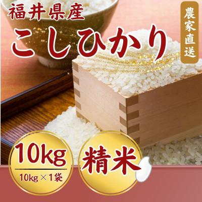 ふるさと納税 小浜市 令和8年産【新米】 こしひかり白米10kg