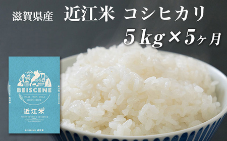【寄附額見直しました】 特A受賞歴 定期便 コシヒカリ 5kg×5ヶ月 令和7年産 滋賀県豊郷町産 近江米 お米 白米 ごはん ライス 主食 炭水化物 おにぎり 定期 5回