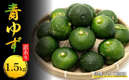 先行予約 柚子 訳あり 有機青 ゆず 1.5kg 【 ゆず 】