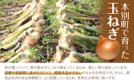 玉ねぎ たまねぎ 玉葱 約10kg サイズ混合《12月上旬-1月下旬より順次出荷》嶋崎農園 送料無料 北海道 本別町 北海道 十勝 本別町産 オニオン カレー サラダ スープ 野菜