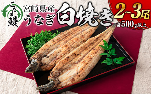 
「こだま鰻」宮崎県産 うなぎ白焼き（2～3尾）計500g以上 国産 真空パック【C418‐24】
