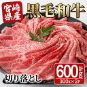 【ふるさと納税】宮崎県産黒毛和牛切り落とし(600g・300g×2P) モモ カタ バラ 国産 牛肉 こま肉 精肉 宮崎県産牛 お肉 黒毛和牛 おにく お取り寄せ【SJ009】【日本ハムマーケティング株式会社】