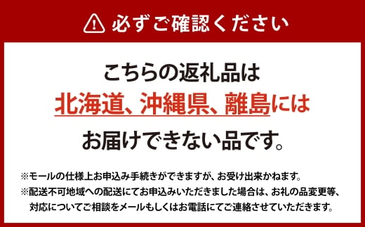 プレミアム シャインマスカット 晴王 1房 約600g【2026年9月上旬-10月下旬 発送予定】 【シャインマスカット マスカット ぶどう 葡萄 岡山県産 種無し 皮ごと食べる みずみずしい 9月～