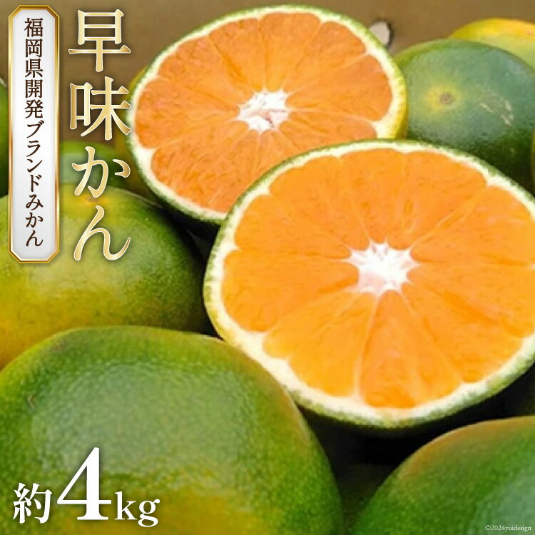【ふるさと納税】【先行受付】福岡のブランド オリジナル 極早生みかん「早味かん」約4kg[南国フルーツ 福岡県 筑紫野市 21760792]