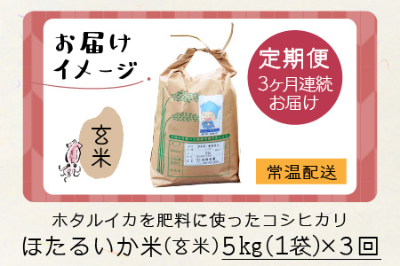 【訳あり】ほたるいか米（玄米５kg）×3回 計15kg【3ヶ月定期便】 