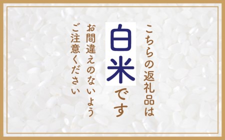 ハナエチゼン 10kg 令和5年 福井県産【白米】【お米 はなえちぜん 華越前 10キロ】 [e30-a059]