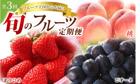 
                  【全3回】＼フルーツ大国和歌山からお届け／ 旬のフルーツ 定期便（いちご・桃・ピオーネ）【tkb401】
                