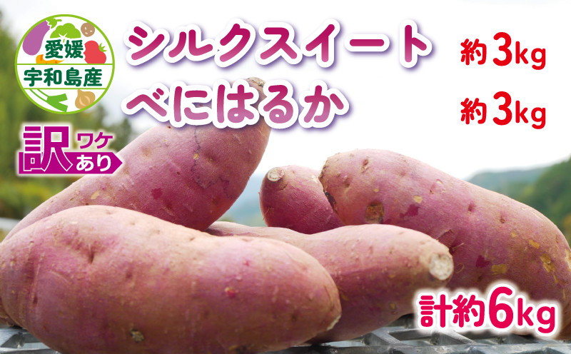 
訳あり さつまいも シルクスイート べにはるか 計 6kg 食べ比べ あかだ農園 わけあり さつま芋 サツマイモ 紅はるか 野菜 やさい 産地直送 栽培期間中 農薬 不使用 根菜 イモ 芋 訳アリ 訳あり品 訳有り わけあり 農家直送 数量限定 国産 愛媛 宇和島 F010-137001
