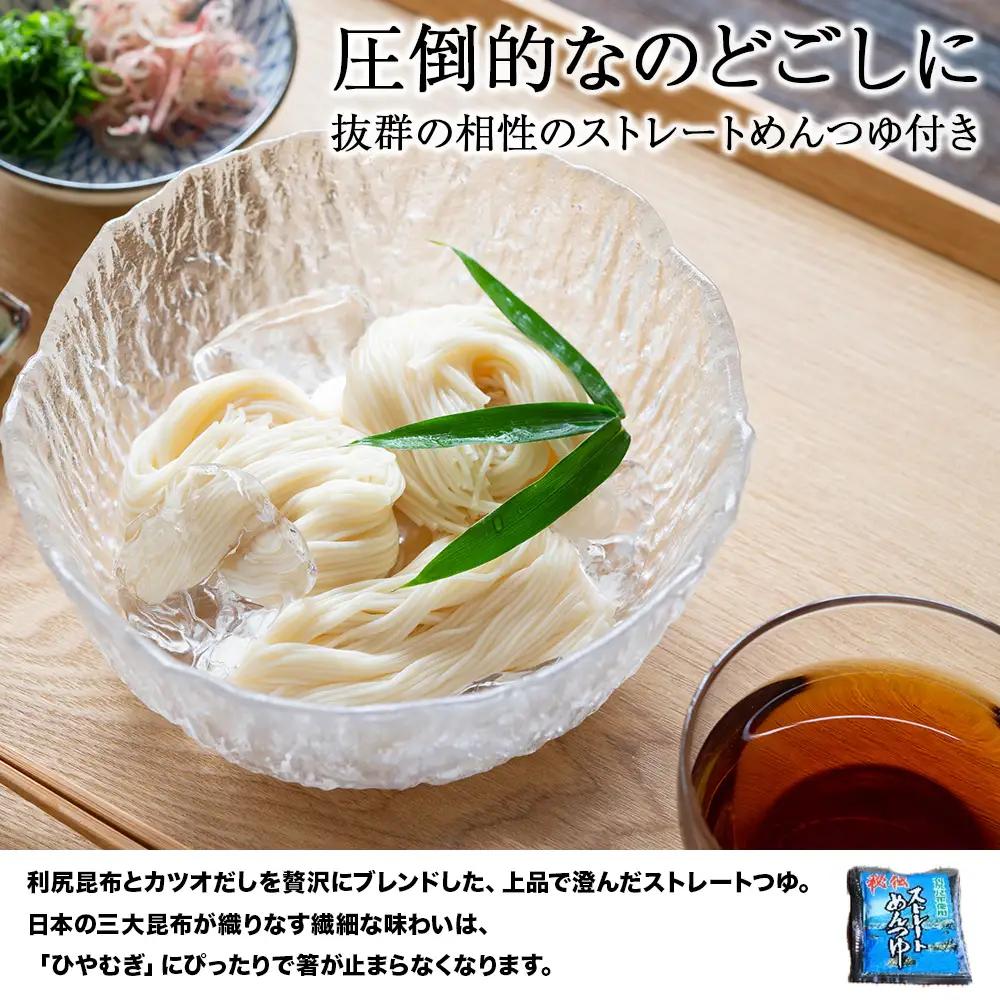 のどごし感動体験 生ひやむぎ 200g×10袋
