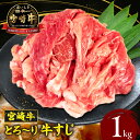 【ふるさと納税】 宮崎牛 牛すじ1kg 牛肉 肉 お肉 精肉 牛すじ スジ ブランド牛 国産牛 黒毛和牛 和牛 宮崎県産 国産 小分け パック 冷凍 煮物料理 煮物 料理 おでん 牛すじカレー おでん おすすめ 人気 取り寄せ グルメ お取り寄せ 宮崎県 高千穂町