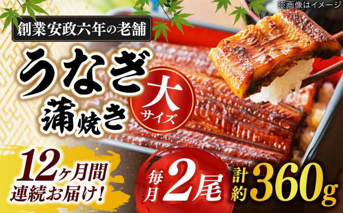 
【うなぎや】 【12回定期便】 炭火焼 うなぎの蒲焼き 2尾 【紀州備長炭使用】 鰻 ウナギ 丑の日 多治見市/うなぎや [TFO009]
