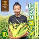 【ふるさと納税】 2025年発送 とうもろこし 10本 メロンより甘い 生とうもろこし にっこりコーン 味来 サニーショコラ 武ちゃん農場 産地直送 朝獲れ 人気 新鮮 愛知県 碧南市 送料無料