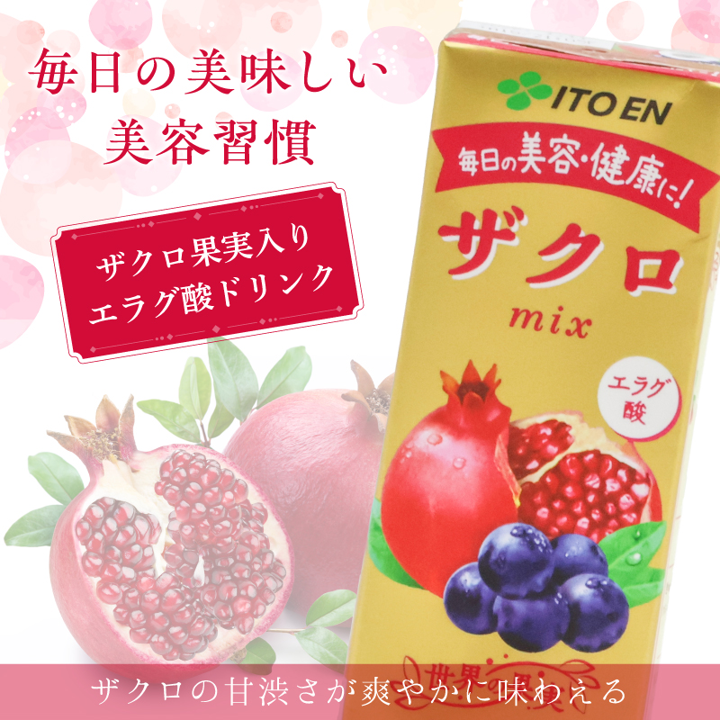 【10営業日以内発送】伊藤園 ザクロmix 紙パック 200ml 24本  スピード発送　013-G-IT009