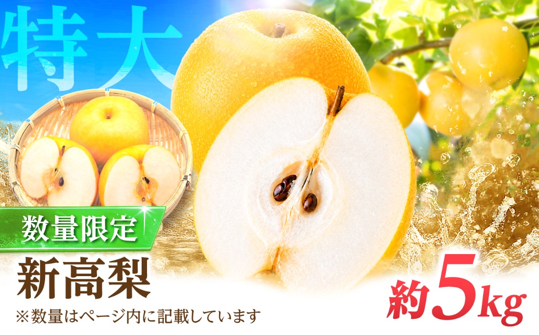 【2026年9月～発送】【梨の王様】こだわり 新高梨 約5kg /  梨 ナシ フルーツ 果物 旬 先行予約 産地直送 家庭用 国産 / 南島原市 / 株式会社マルハチ[SFG002]