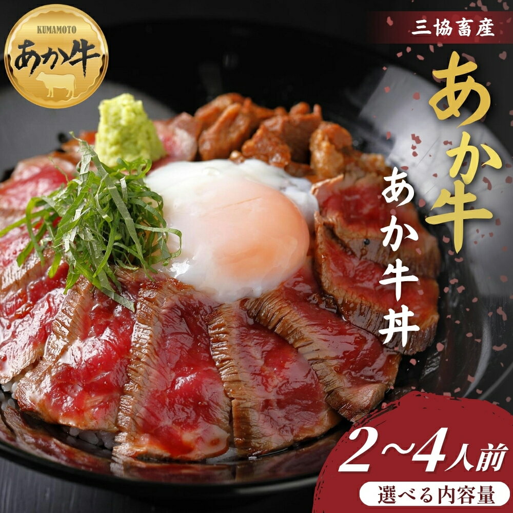 【ふるさと納税】【三協畜産】熊本名物あか牛丼セット 2人前 または 4人前 あか牛 赤牛 牛肉 あか牛 あか牛丼 国産 簡単 お取り寄せ 冷凍 お土産 ギフト 贈り物 贈答用 豪華 セット ご当地 簡単 手軽 贅沢 ご褒美 お祝い 人気 晩ご飯 熊本県 阿蘇市