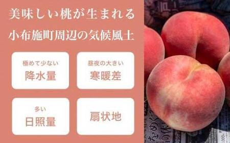 季節の桃 約2kg 5～9玉［ おぶせファーマーズ ］桃 もも モモ ピーチ フルーツ 果物 たまき なつき あかつき 川中島白鳳 なつっこ 川中島白桃 黄金桃 だて白桃 先行予約 長野県産 信州産 