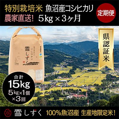 ふるさと納税 十日町市 【毎月定期便】農家直送!県認証特別栽培魚沼産コシヒカリ【合計15kg】毎月5kg全3回