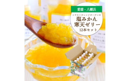 ゲル化剤・pH調整剤不使用!愛媛産 塩みかん寒天ゼリー 12本セット＜D25-221＞【1628728】