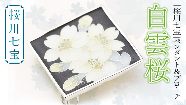 
                  「桜川七宝」白雲桜ペンダント＆ブローチ ／ 母の日 プレゼント ジュエリー 作家 伝統工芸 森千鶴子  記念 ギフト 贈り物 贈答[AH025sa]
                