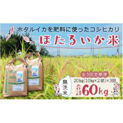 ふるさと納税 滑川市 【毎月定期便】ほたるいか米　無洗米　20kg(10kg×2袋)全3回