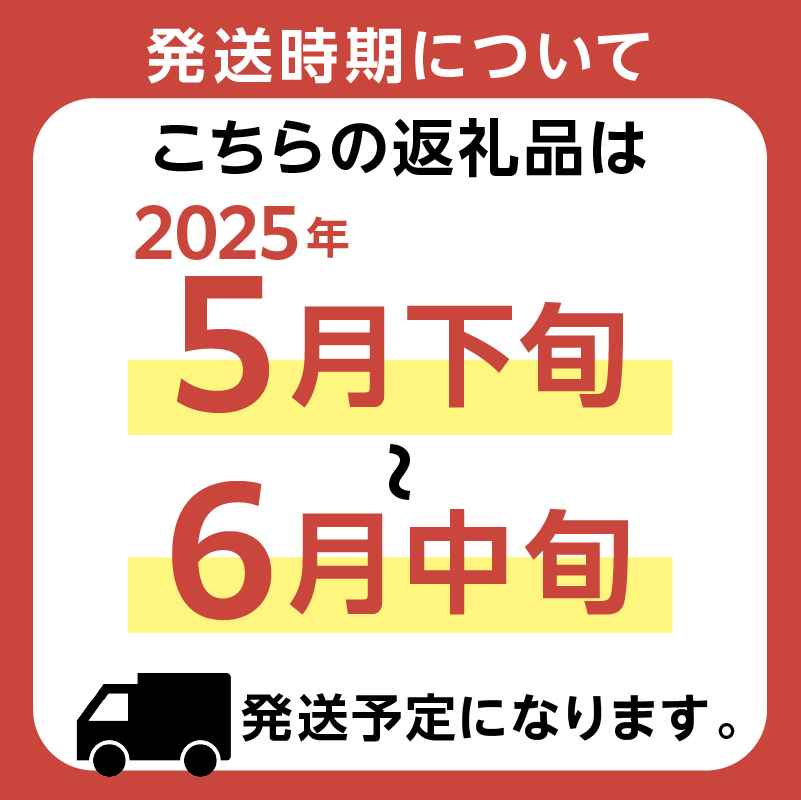 【先行受付 2025年5月下旬～6月中旬発送予定】『房州枇杷（ビワ） 2Lサイズ12粒入』完熟枇杷を農家から直送！ びわ 果物 フルーツ くだもの 千葉県 特産品