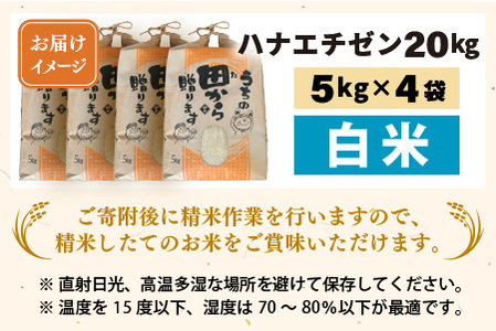 【先行予約】【令和8年産・新米】 ハナエチゼン20kg(5kg×4袋) ～本原農園からまごころコメて～（白米）【2026年9月上旬以降発送予定】 [D-8917_01]
