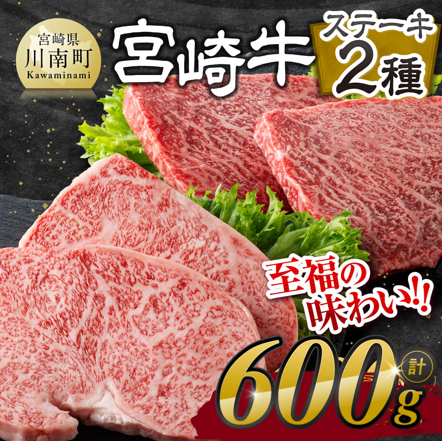 宮崎牛 ステーキ 2種 600g　牛肉 宮崎牛[E11118]