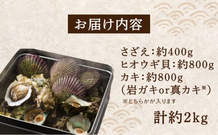 対馬 蒸し貝 缶セット 計約2kg [WAD007] 牡蠣 かき カキ さざえ ヒオウギ貝 国産 九州 長崎 海鮮 BBQ 大容量 シーフード つぼ焼き 酒蒸し バター焼き 魚介類 海産物 コダワリ貝