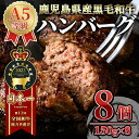 ＜A5ランク＞ ハンバーグ 牛肉100％ 鹿児島県産『鹿児島黒牛』極めたハンバーグ 計8個 1.2kg（150g×8個） 黒毛和牛を100％使用！和牛 国産 冷凍 小分け【うしの中山】