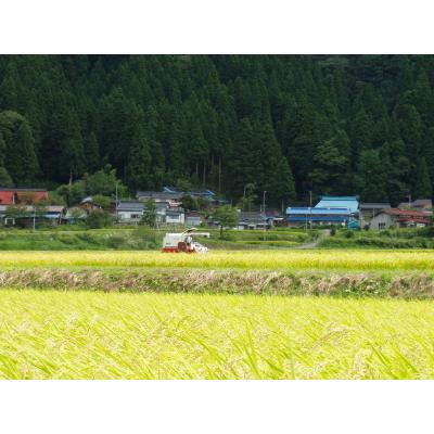 ふるさと納税 糸魚川市 新潟県糸魚川産コシヒカリ　ひすい営農センター厳選米「ひすいの里」5kg |  | 02