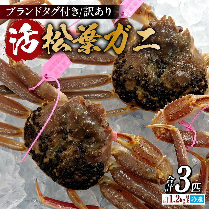 【ふるさと納税】先行予約 兵庫県香住産 訳あり 活 松葉ガニ 3匹(約1.2～1.5kg) 冷蔵 カニの本場 兵庫県 香美町 香住漁港 活松葉ガニ カニすき カニ刺し 焼がに 茹でがに 産地証明 タグ付き 松葉蟹 刺身 蟹 鍋 かに お歳暮 国産 足折れ 宿院商店 令和7年2月以降発送 33-26
