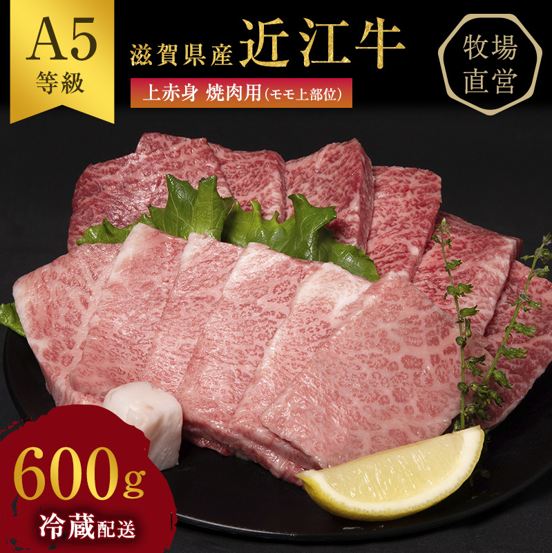 【最短1週間発送】 A5ランク 近江牛 焼肉 肉 牛肉 雌牛 上赤身焼肉用 約600g ふるさと納税 お肉 バーベキュー モモ ブランド牛 黒毛和牛 滋賀県 豊郷町