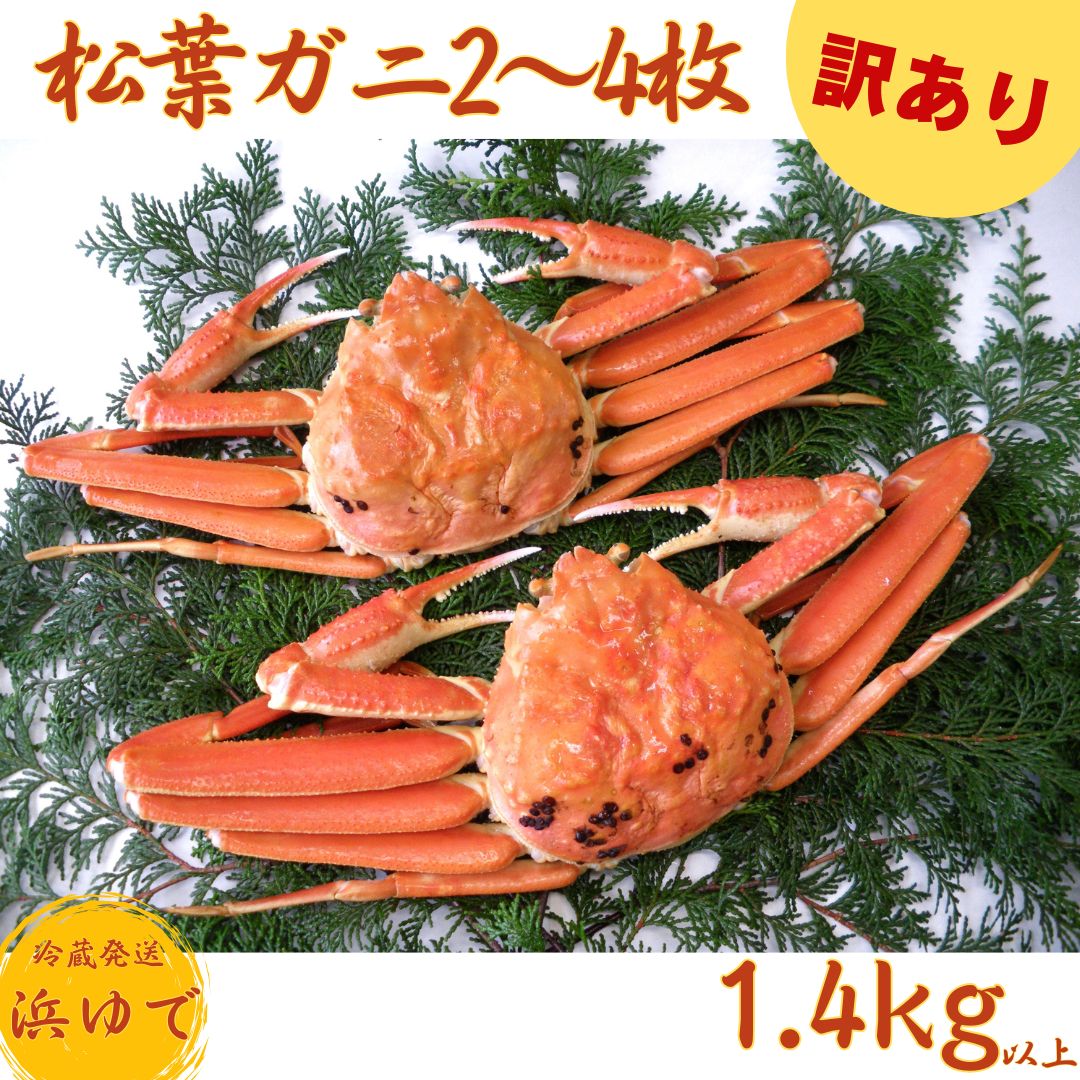 58J.浜下商店■訳あり■松葉ガニ2～4枚〔浜ゆで〕
