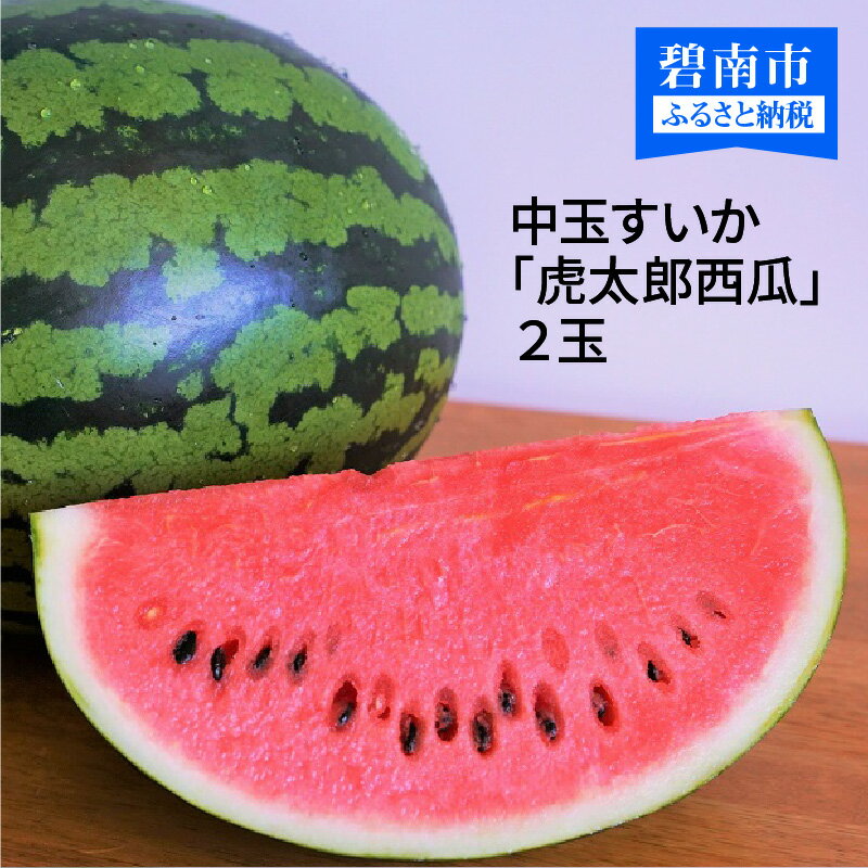 【ふるさと納税】2025年発送 予約 中玉すいか 虎太郎西瓜 2玉 夏 風物詩 すいか 甘い すいか2玉 スイカ ジューシー 鈴良農園 愛知県 碧南市 送料無料