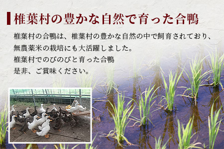 【数量限定】椎葉村産 合鴨 胸肉【合計500g】