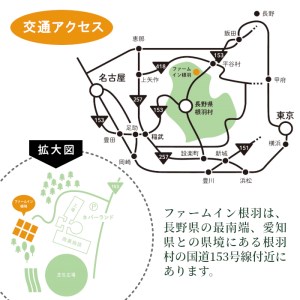 ファームイン根羽 宿泊補助券 (30,000円分) コテージ 旅行