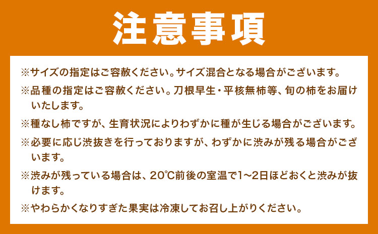 家庭用 種なし柿 約5kg 訳あり 池田鹿蔵農園《10月上旬-12月上旬頃出荷》和歌山県 日高町 刀根早生柿 平核無柿 ひらたねなしかき カキ 種なし柿