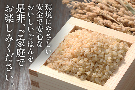 合鴨米「元気つくし」（玄米・5ｋｇ）定期便6回コース　BI10　※2023年10月中旬より順次出荷予定(隔月発送予定)