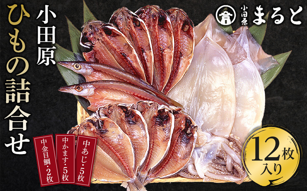 小田原ひもの詰合せ s45【惣菜 魚 干物 ひもの お取り寄せ 御中元 お中元 お歳暮 父の日 母の日 贈り物 家庭用 自宅用 贈答品 贈答用 ギフト 定番 朝食 朝ごはん 国産 中あじ、中かます、中金目鯛  神奈川県 小田原市 】 142069_AD003