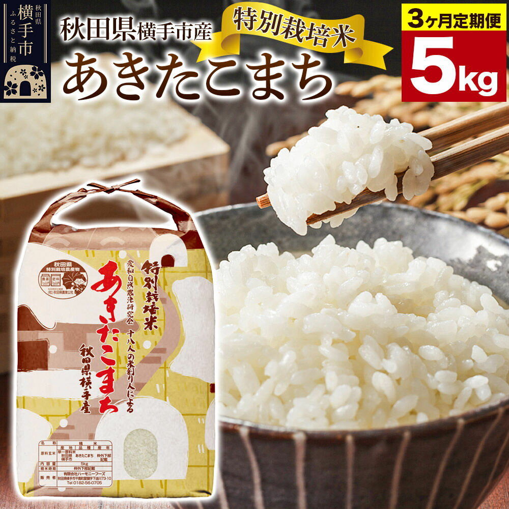 【ふるさと納税】《定期便3ヶ月》【白米】特別栽培米あきたこまち 5kg [定期便 秋田県産 あきたこまち 特別栽培米 5キロ]