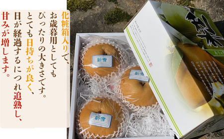 Y1067 新雪梨(特秀) 5kg