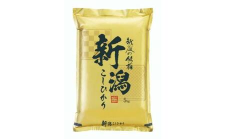 令和7年産 先行予約 食味鑑定士厳選 新潟県産こしひかり 無洗米 20kg 上越市 米 コメ コシヒカリ