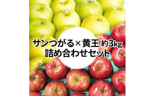 ＜25年9月出荷予定＞糖度13度以上保証! 黄王×サンつがる 約3kg 訳あり クール便【1613856】