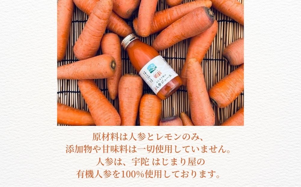 宇陀 はじまり屋の有機人参100％使用 人参ジュース 1000ml×6本／ にんじん 有機野菜 無添加 はじまり屋 奈良県 宇陀市 贈り物 ギフト ふるさと納税